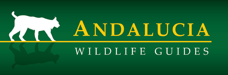 Andalucia Wildlife Guides